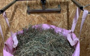 Sofie Henriksen tilbyder workshops med hverdagshistorier