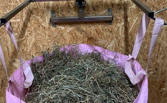 Read more about the article Tag hestewrap med i supervisonsrummet